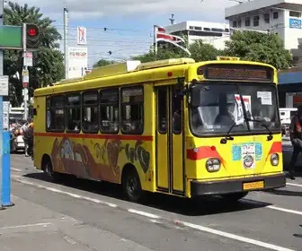 transporte público gratuito